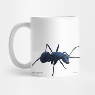 Blue ant Mug